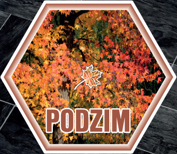 ŠESTIÚHELNÍKY ROČNÍ OBDOBÍ na podlahu