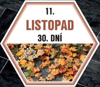 ŠESTIÚHELNÍKY ROČNÍ OBDOBÍ na podlahu