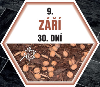 ŠESTIÚHELNÍKY ROČNÍ OBDOBÍ na podlahu