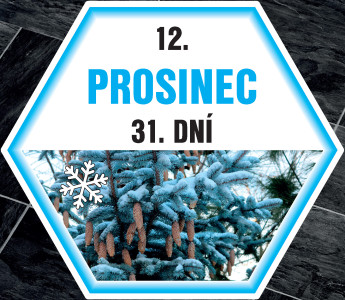 ŠESTIÚHELNÍKY ROČNÍ OBDOBÍ na podlahu